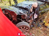 Śmiertelny wypadek na drodze przez las pod Krakowem. Samochód osobowy wypadł z trasy