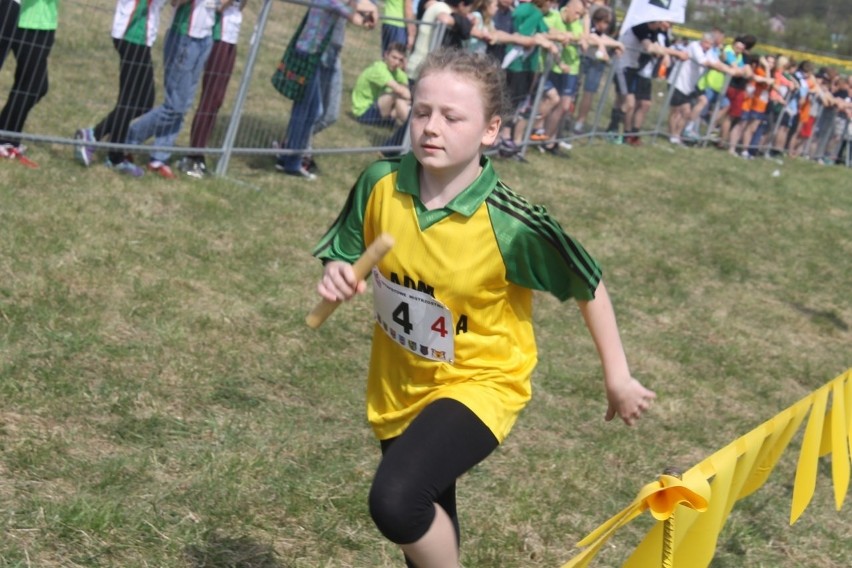 Cross Straceńców 2015. Sztafetowe Mistrzostwa Głogowa [Zdjęcia]