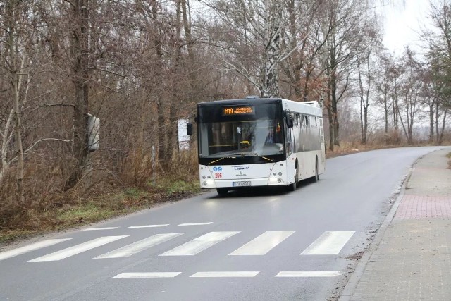 Metrolinia M19 ułatwia podróże na terenie Sosnowca, Będzina i gminy Psary