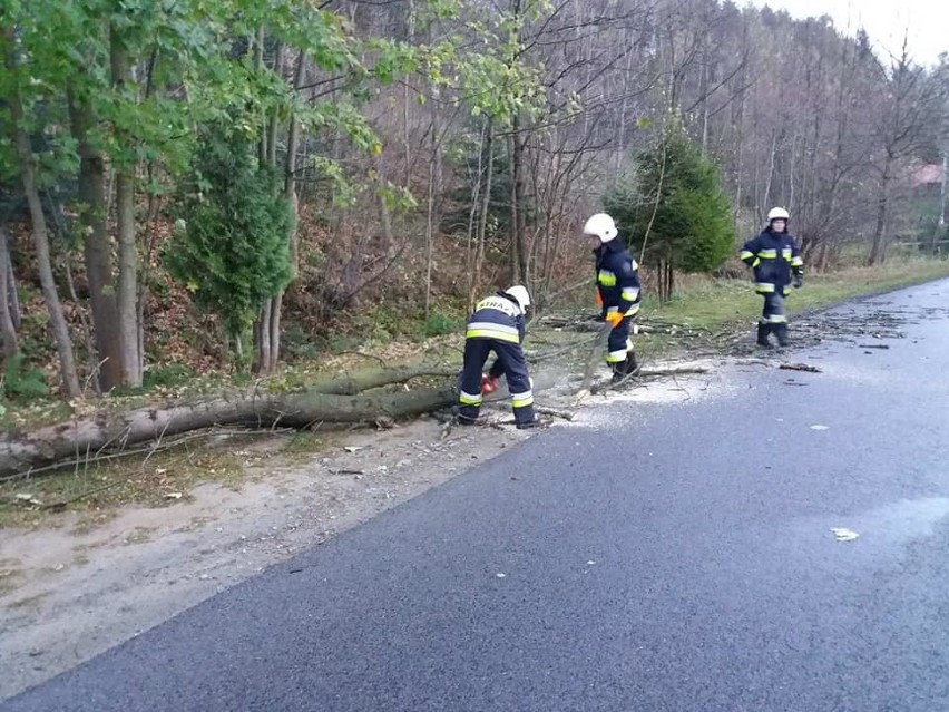 Sądecczyzna. Powalone drzewa, zerwane linie i uszkodzony dach. Wiatr daje się we znaki [ZDJĘCIA]