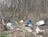 Ostrołęka. Kłopoty na Azaliowej. Młody człowiek posprzątał las ze śmieci, sąsiedzi wezwali policję