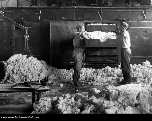 1 lipca 1912 r. Towarzystwo Akcyjne Tomaszowskiej Fabryki Sztucznego Jedwabiu rozpoczęło sprzedaż swoich wyrobów. Była to pierwsza firma wytwarzająca włókna sztuczne na ziemiach polskich.
