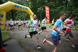 Bieg Lata w Siemianowicach. Biegacze rywalizowali w Parku Pszczelnik ZDJĘCIA