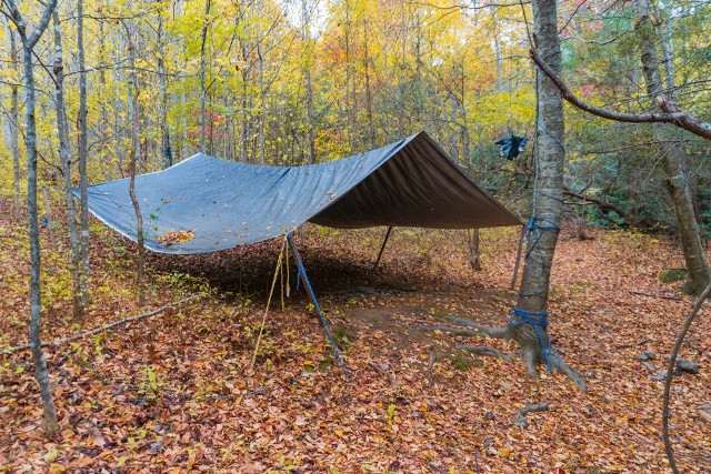 Bushcrafting będzie możliwy w 38 miejscach wyznaczonych przez  Regionalną Dyrekcję Lasów Państwowych w Katowicach.