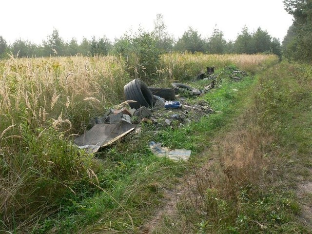 Na coraz większym terenie odpady z powodzi pokrywają dzikie wysypiska, które powstają jak grzyby po deszczu.