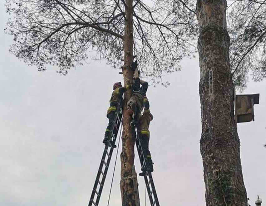 CZYTAJ WIĘCEJ NA NASTĘPNEJ STRONIE