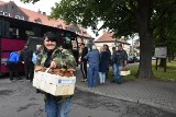 W Węglińcu na Dolnym Śląsku odbyły się 24. Mistrzostwa Europy w Zbieraniu Grzybów [ZDJĘCIA]