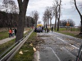 Samochód został przygnieciony przez drzewo na drodze w Wielkopolsce. Na miejscu działali strażacy