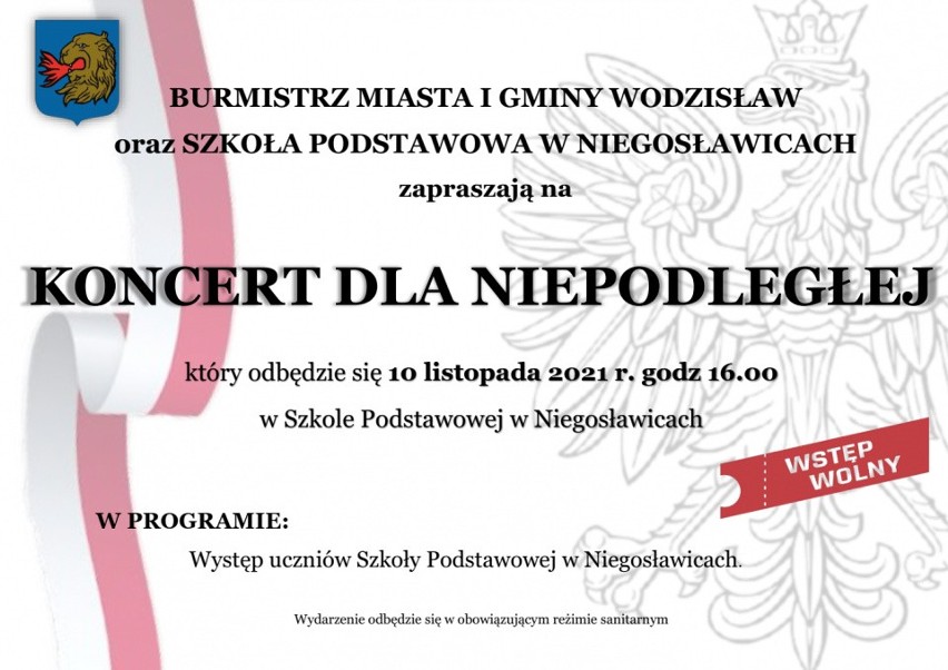 Narodowe Święto Niepodległości w Wodzisławiu. Będzie koncert młodzieży i oficjalne uroczystości. Zobacz program