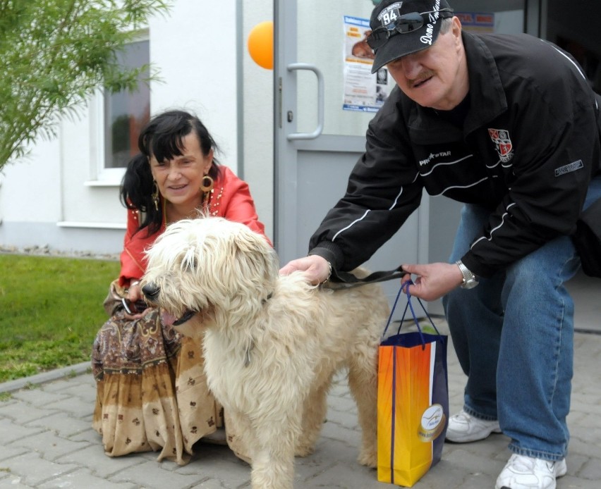 Szaki opuścił schronisko pod opieką Pani Ani i Zbigniewa