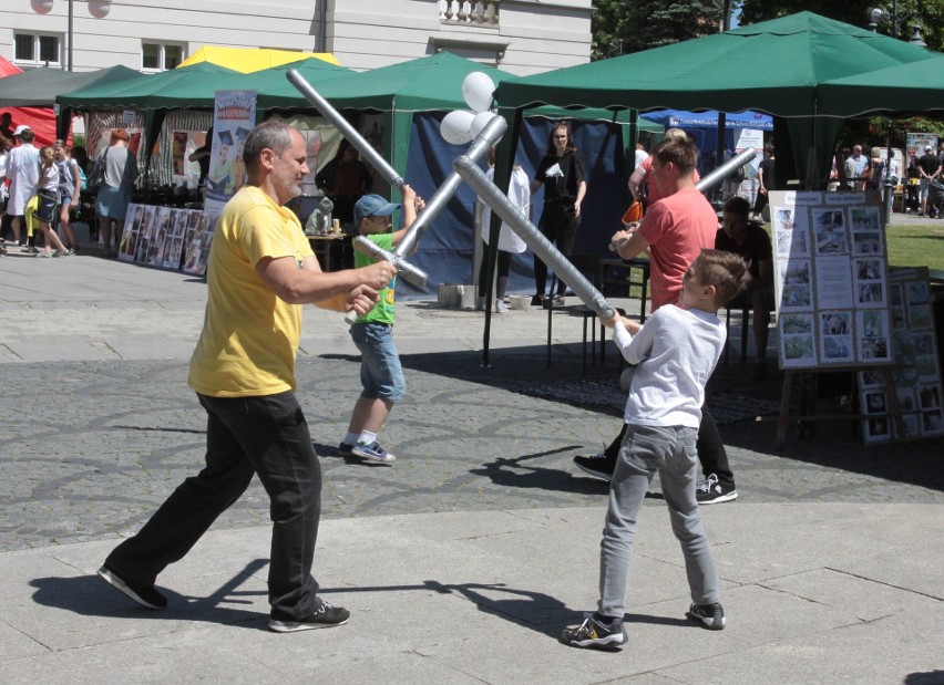 Radomski Piknik Naukowy 2017.