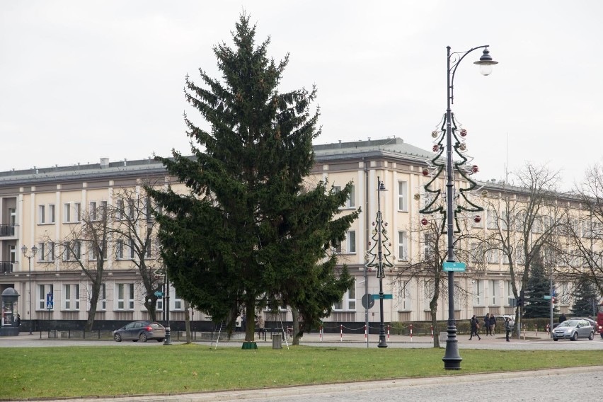 Na placu NZS stoi już choinka. W centrum miasta rozwieszono...