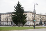 Białystok rozbłyśnie świątecznie już niebawem. Będzie też Mikołaj (zdjęcia)