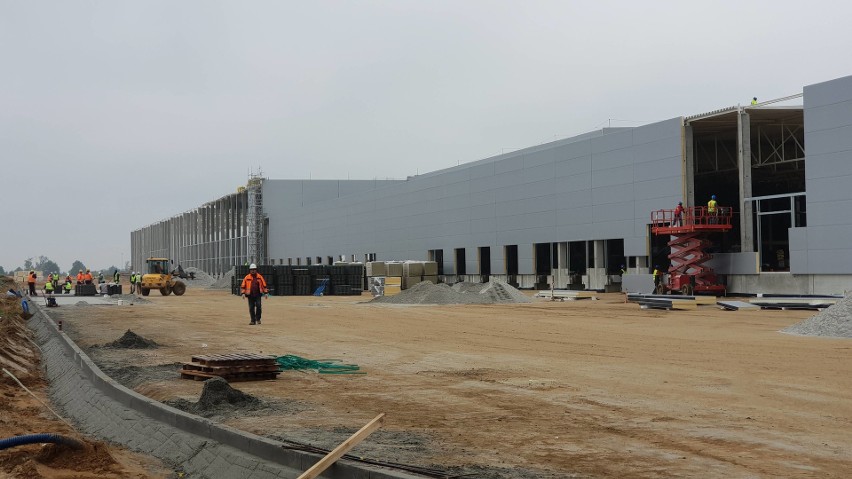 Praca w Dino w Sieronowicach. Sieć buduje centrum dystrybucyjne przy A4 na Opolszczyźnie. Pracę w nowych magazynach znajdzie nawet 300 osób