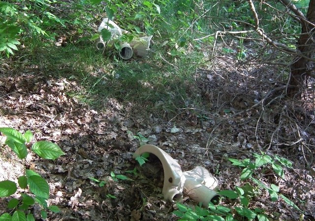 Dzięki takim akcjom być może ludzie nie będą już podrzucać takich śmieci do lasu w Osinach.