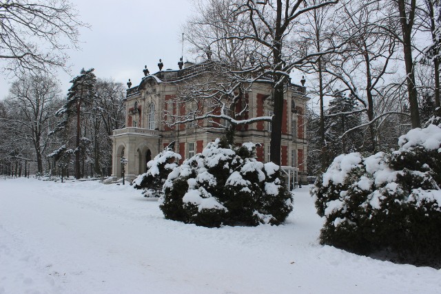 Park w Świerklańcu zimową porą. To idealne miejsce na długi spacer. Zobacz kolejne zdjęcia >>>