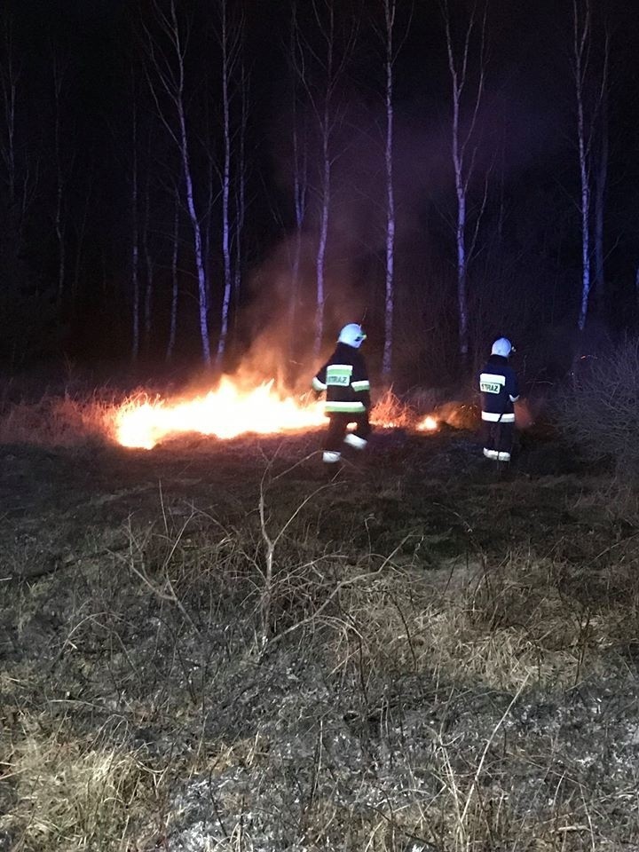 Plaga pożarów traw w powiecie koneckim. Zobacz na zdjęciach, jak niebezpieczny to proceder
