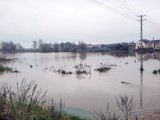 Alarm powodziowy na Śląsku. Woda przelała się przez wał w Krzyżanowicach. Stany alarmowe przekroczone na rzekach województwa śląskiego
