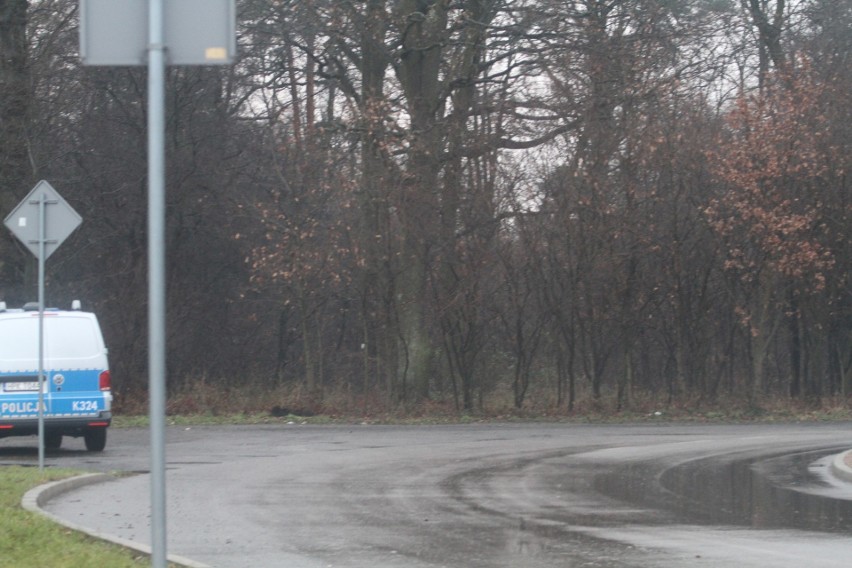 Zwłoki w lesie w Tarnobrzegu, nie żyje 27-latek. Policjanci ustalają okoliczności tragedii (ZDJĘCIA)