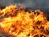 Groźny pożar na terenie tartaku w Raszkowie. Zapaliły się trociny. Dogaszanie trwało kilka godzin