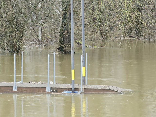 Stan Wisły w niedzielny wieczór (11.02.2024 r.) przekroczył stan ostrzegawczy – 530 cm. Woda powoli się podnosi także w Drwęcy. Z czego wynika podniesiony stan rzek? Czy Toruniowi grozi zalanie?