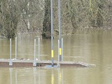 Podniesiony stan Wisły w Toruniu. Czy mieszkańcy powinni obawiać się zalania?