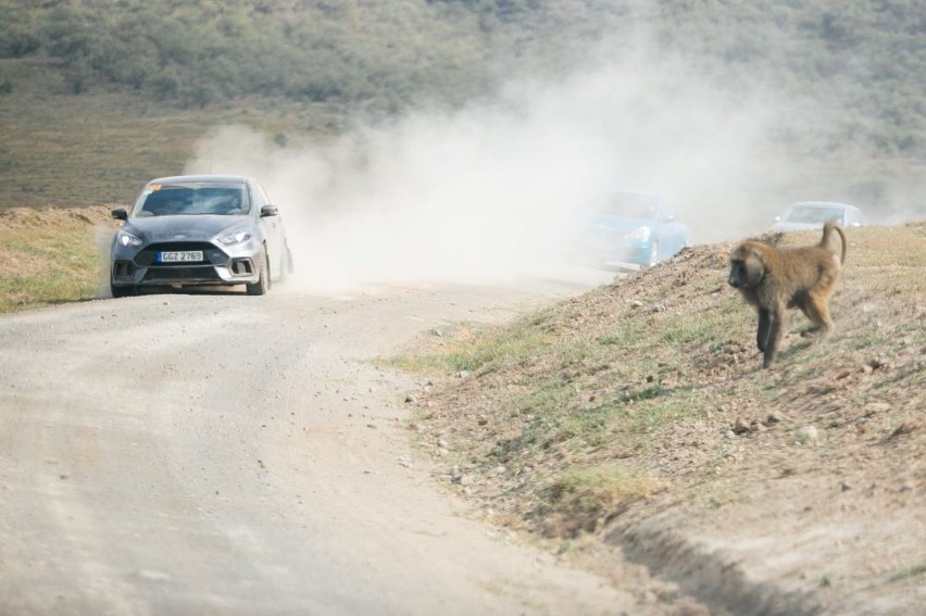 W Nairobi rozpoczyna się Rajd Safari, szósta runda...