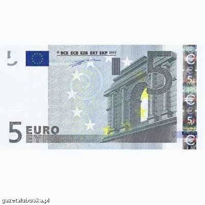 Obecnie wiele ekspertów uważa, że lukę po franku może wypełnić euro