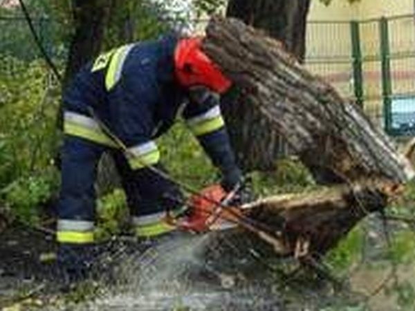 Po wichurach, strażacy bardzo często usuwają połamane drzewa z dróg.