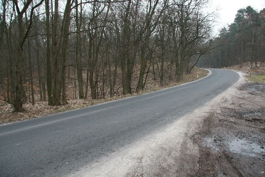 Droga jest kręta, dlatego brak linii wyznaczających pasy ruchu i krawędzie jezdni jest uciążliwy dla kierowców.