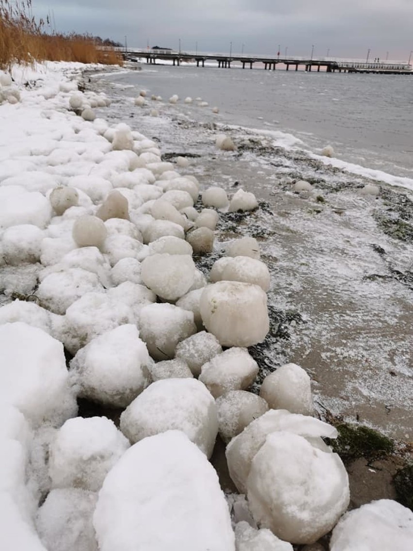 To morszkulce, wielkie lodowe kule na plaży w Jastarni....