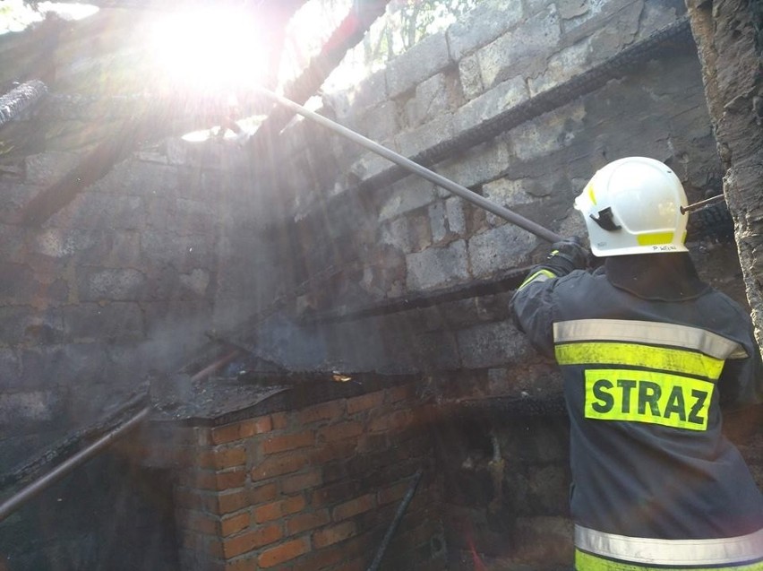 Pożar w Pielgrzymowicach. Palił się budynek gospodarczy z kurnikiem [ZDJĘCIA]