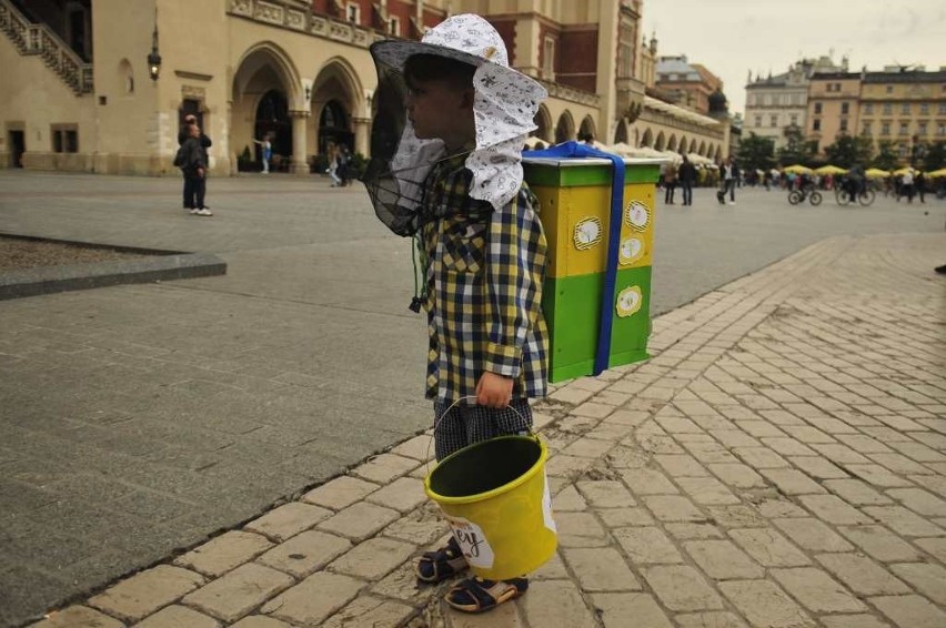 Miodobranie i Parada Pszczół. Kraków widział już wiele, ale takiej parady jeszcze nie było... [ZDJĘCIA]