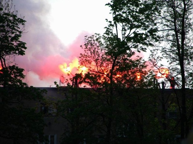 Górnik Zabrze - Wisła Kraków