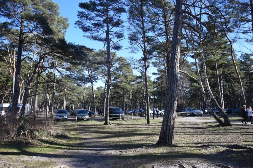 Nie masz pomysłu na weekend? Spędź go w Lubiatowie. Ta plaża zachęca do spaceru