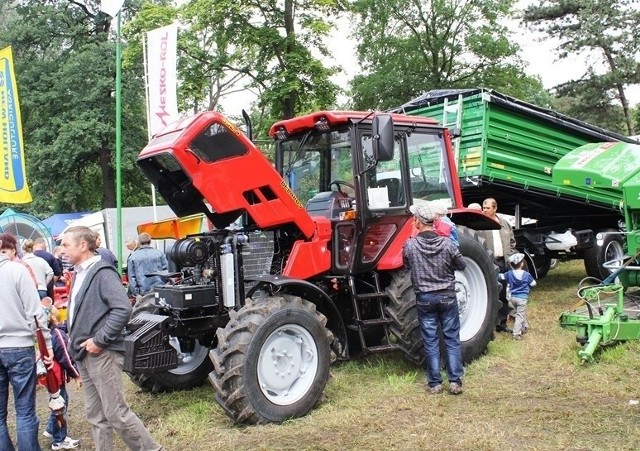 Targi rolnicze 2013: Tłumy zwiedzających w Kościelcu