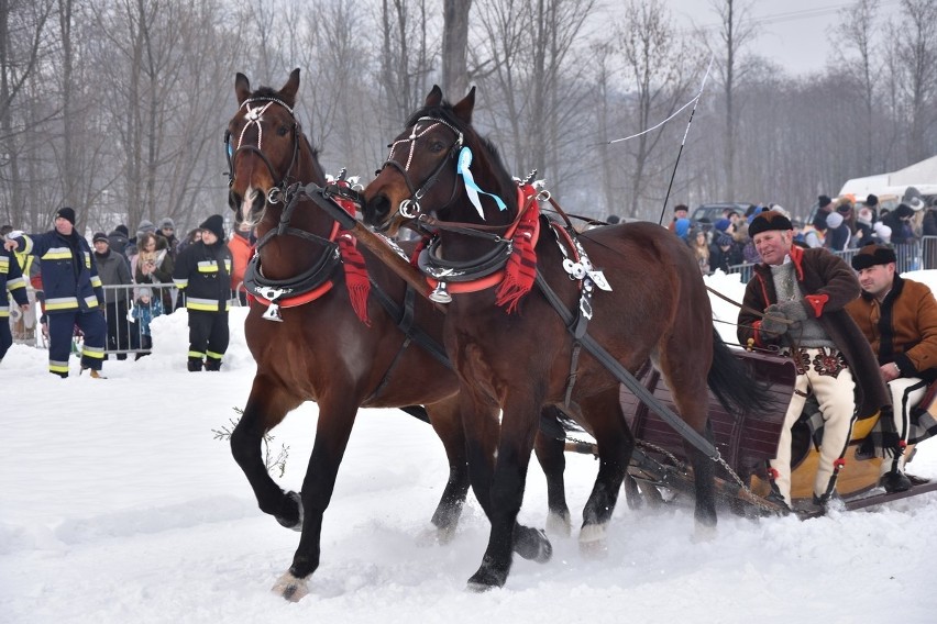 Parada Gazdowska 2019 - Biały Dunajec