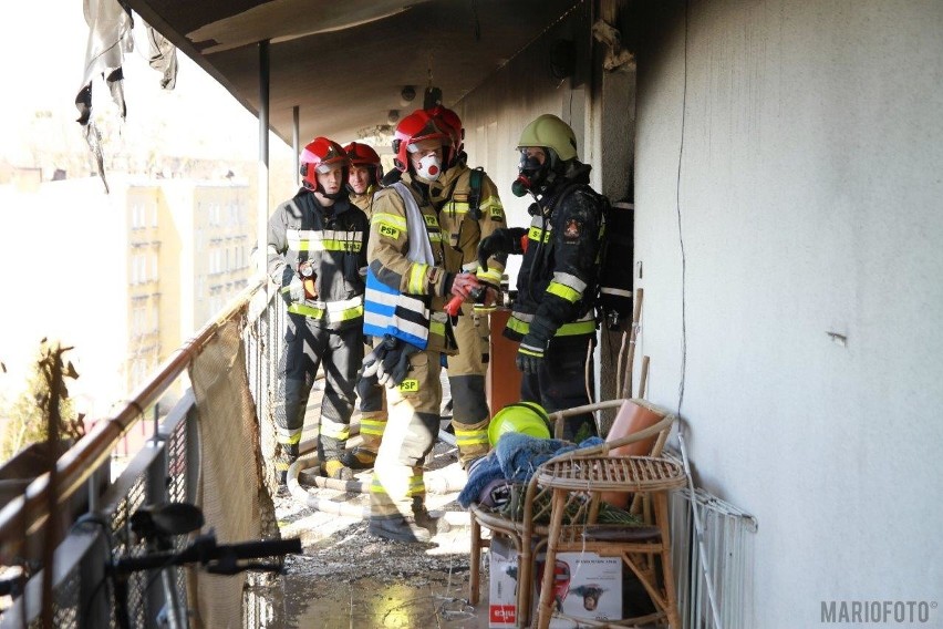 Pożar domu w Opolu. Dwie osoby poszkodowane. Akcja strażaków przy ulicy Walecki