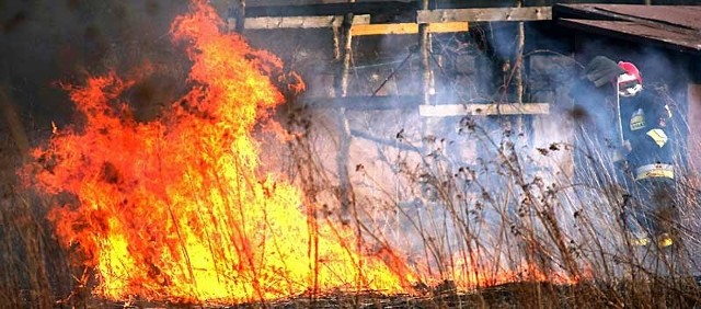 Przed godziną 17 strażacy gasili pożar nieużytków przy ogrodach działkowych na Kamionce w Tarnobrzegu.