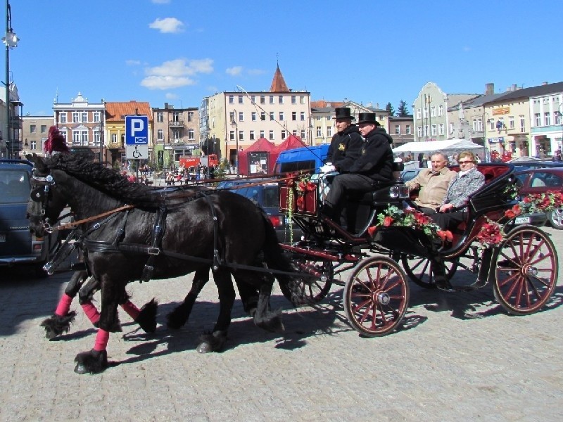 Przy tak pięknej pogodzie każdy chciał przejechać się...