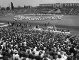 Stadion Szyca - kiedyś wizytówka Poznania, a dzisiaj? Zobacz, co straszy w centrum miasta! [ZDJĘCIA]