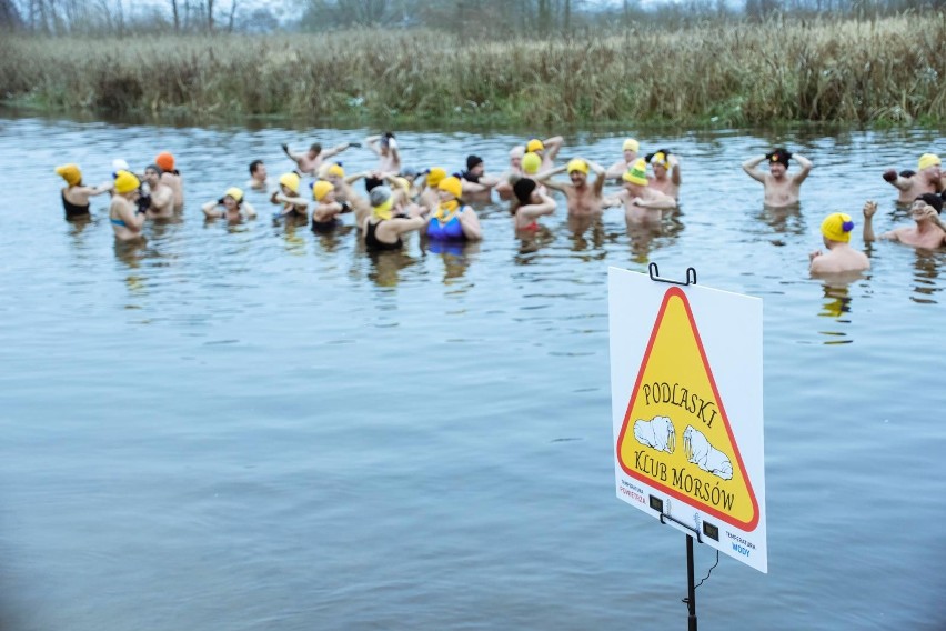 Kąpiel podlaskich morsów w ostatnią niedzielę listopada