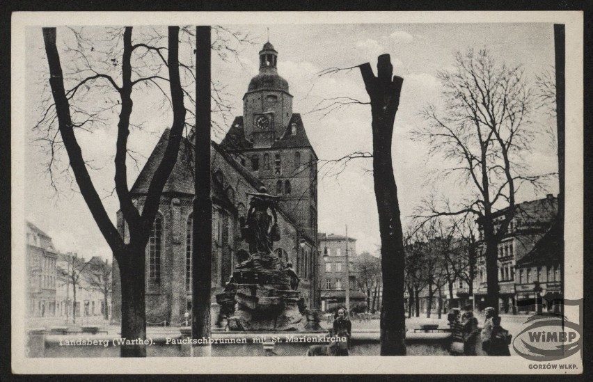 W czasach niemieckich drzew na Starym Rynku było więcej niż...