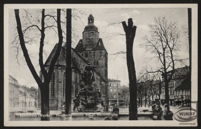 W czasach niemieckich drzew na Starym Rynku było więcej niż teraz.