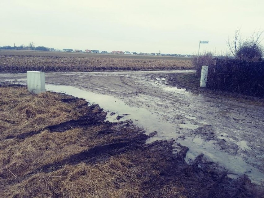 Mieszkańcy ulicy Ogrodowej i Aksamitkowej w Dopiewie nie...