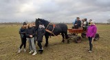 Zalesie Gorzyckie. Krwiodawcy sprawili radość dzieciom i młodzieży z Łoniowa. Atrakcje w szkółce jeździeckiej [ZDJĘCIA]