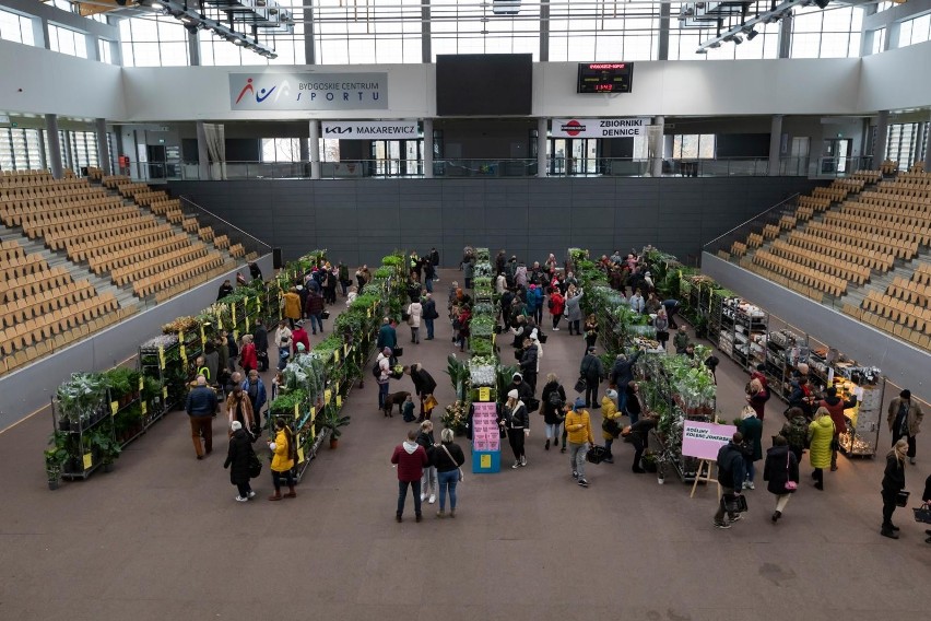 Festiwal Roślin w Sisu Arenie rozpoczął się w sobotę, 19...