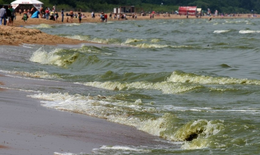 Sinice w Bałtyku 2018. Gdzie zakaz kąpieli nad Bałtykiem?...