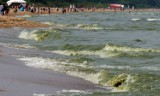Sinice w Bałtyku 2018. Gdzie zakaz kąpieli nad Bałtykiem? Lista kąpielisk AKTUALIZACJA