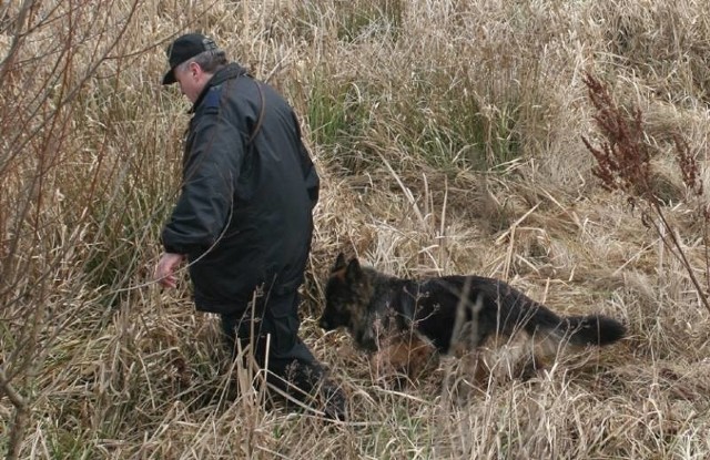 W poszukiwanych 42-latki policjanci użyli psa tropiącego.